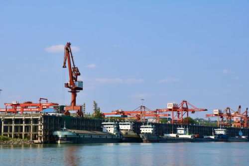 奮戰紅五月，瀘州水運吹響發展進軍號 碼頭建設與管理并舉，激活長江上游黃金水道